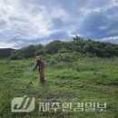 별도환해장성 이미지