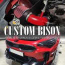 메인텍 | 스팅어 블로우 오프 밸브 튜닝 및 메인텍 오픈 흡기 튜닝, 일산 자동차 튜닝 커스텀바이슨