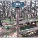 달성보 녹색길 이미지