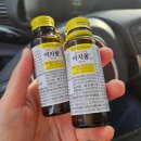 타임365약국 | 제주살이) 제주 낚시 체험, 타이바라 낚시, 체험 배낚시 광명호