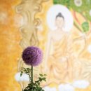 디자인마음 - 목포시 연산로 44-1 | 디자인마음