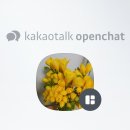 딩굴댕굴 Daum카페