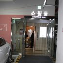 광교 미용실 타마시헤어 광교점 염색후기
