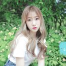 가을 이미지