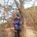 징검다리Ⅱ 이미지