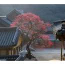 지리산식당