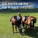 [몽골] 승마 초보 5박 6일 외승 리얼 후기(일정/난이도/코스)
