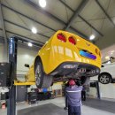 바이드핸더 이미지