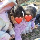 숲속늘푸른어린이집 | 아이들이 자연 속에서 놀이로 배우는 숲어린이집 늘푸른몬테소리어린이집 소개!
