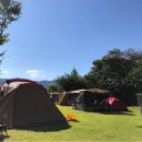 수목화 송정마을 오토캠핑장 이미지