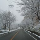 원조복아구 이미지