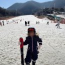 지산어린이집 | 유아 스키강습 후기｜지산스키장 급예약 가능? 가격·준비물·현실 후기까지