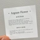 부천가구프라자 | 아빠 환갑 꽃바구니 선물 후기, 역곡 꽃집 아르그랑 플라워