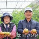 대저토마토산지유통센터 이미지