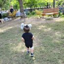 바닐라브릭 이미지