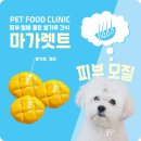 수제쌀 간식 만들기 | 강아지 처방 수제 간식 쌀쿠키 만들기 레시피