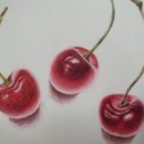 세밀색연필화 이미지