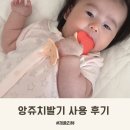앙쥬 | 국민치발기 사용시기 앙쥬치발기 4개월 아기 후기