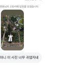 펠리칸카페