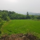 삼가제일부동산공인중개사사무소 이미지