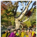우리숲사회적협동조합 이미지
