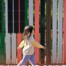 하소생활체육공원 유아숲 이미지