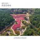 가산수피아 이미지
