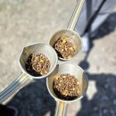 공룡타조랜드 이미지