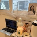 필라테스그린 | 영등포 당산동 필라테스 그린 개인필라테스 후기