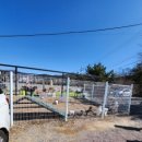 퍼피랜드애견카페 이미지