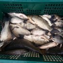 석곡낚시터 이미지