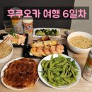 쿠스하우스 | 🚍후쿠오카 6일차 몰아보기! 히타·유후인 버스투어 완벽 후기🌸