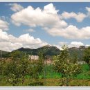 부광농장-2 이미지