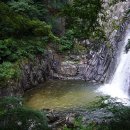 다라실 네이버블로그