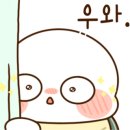 쪼꼬네 하우스