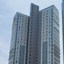 삼어초교 이미지