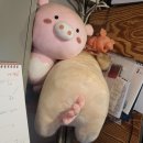 김피그거여점