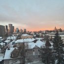 영어반(첫걸음) | [캐나다 워홀] D+53~55 - 캘거리대학교 스케이트장