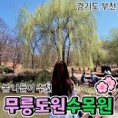 봄바람 휘날리며, 흔들리는 벚꽃핑이~무릉도원수목원 봄나들이