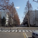 신반포로(북측) 이미지