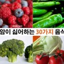 인간 사망율 80프로 이상 *암* 이다 나머지는 혈류 관계 이미지