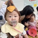 자람 | [내돈내산] 리틀킹콩 오감놀이 후기(자람아카데미)