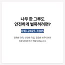 도봉-도봉-서울도봉-2427 이미지