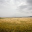 Morning Lake 이미지