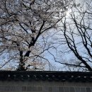 수릉원마트