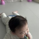아기칫솔 고불소치약 , 내돈내산 후기 &#34;조르단 칫솔 &amp; 닥터노아 치약&#34;