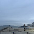 고릴라 커피 | 부산 해운대 맥주 맛집 해운대 오션뷰 고릴라브루잉 비치점 후기