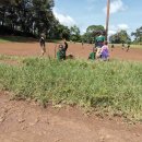 강매농장 이미지