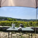 수원-0519 이미지