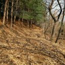 종찬목장 이미지